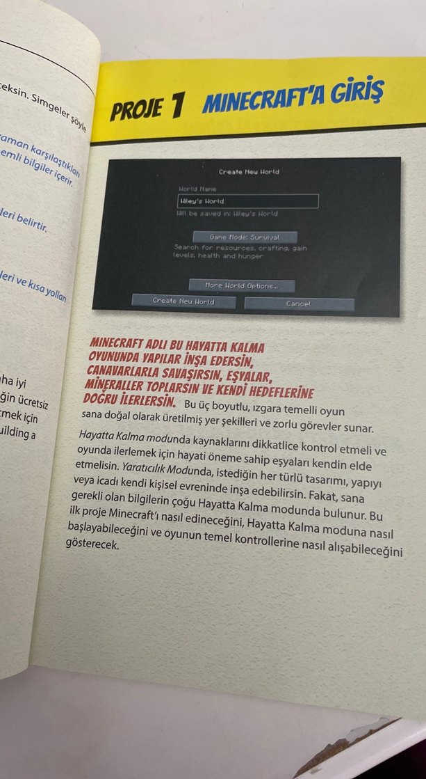 Minecraft Şehrimi İnşa Ediyorum - Dummies - Görsel 2