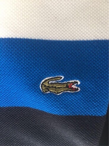 Lacoste Lacoste Erkek Tshirt