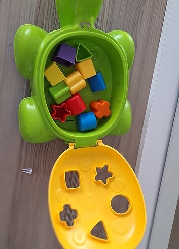 Beden Renk Turtle Kablumbağa Şekilli Büyük Bultak