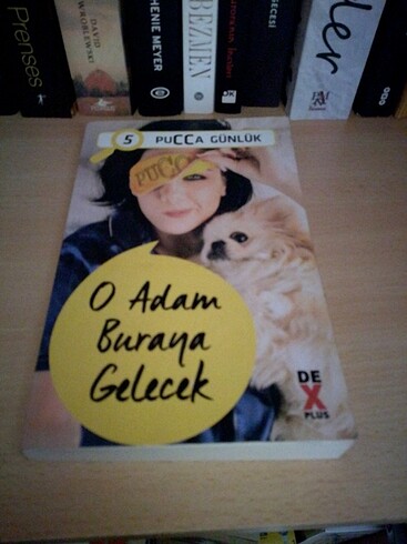 Pucca o adam buraya gelecek