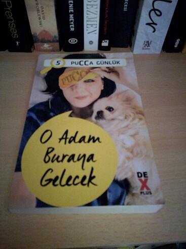  Pucca o adam buraya gelecek