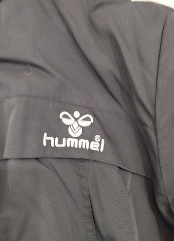 Hummel mont