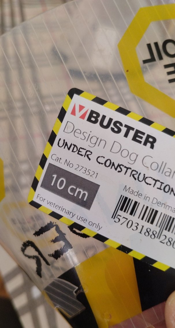 kedi yakaligi - Görsel 2