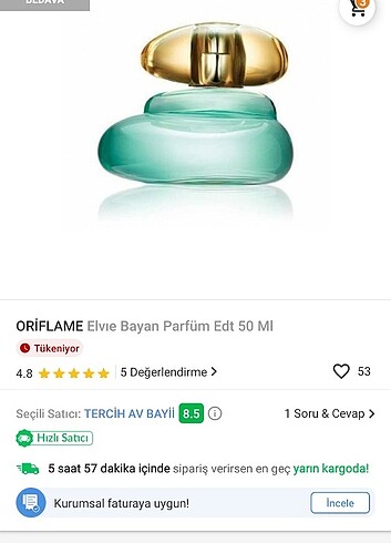  Beden Renk Elvıe parfüm 