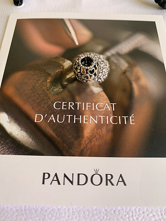 Pandora Pandora charm 