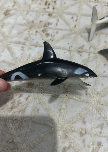 Küçük Koyu Renkli Balina Aksiyon Figürleri - Görsel 7