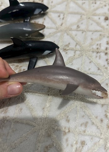 Küçük Koyu Renkli Balina Aksiyon Figürleri - Görsel 4