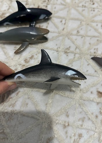 Küçük Koyu Renkli Balina Aksiyon Figürleri - Görsel 5