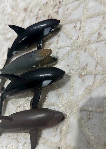 Küçük Koyu Renkli Balina Aksiyon Figürleri - Görsel 3