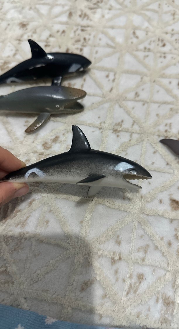 Küçük Koyu Renkli Balina Aksiyon Figürleri - Görsel 5