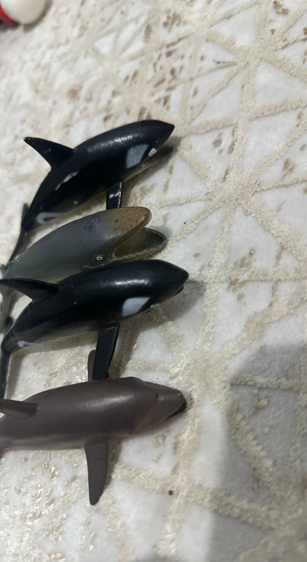 Küçük Koyu Renkli Balina Aksiyon Figürleri - Görsel 3