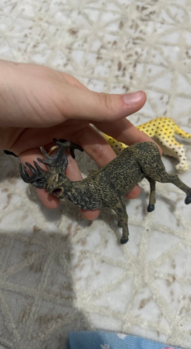 Çeşitli Hayvan Figürleri Seti oyuncak - Görsel 5