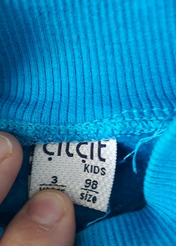 Diğer Mavi Erkek Çocuk Sweatshirt, Uzun Kollu, Baskılı
