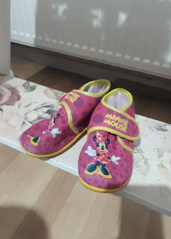 Walt Disney World 25