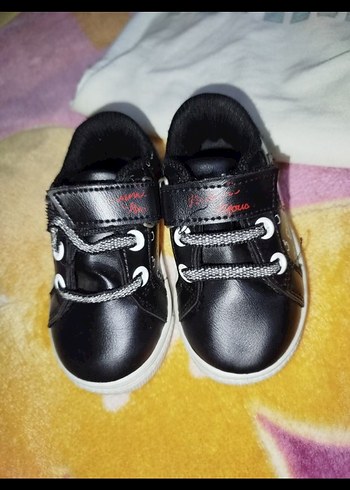 Walt Disney World 22