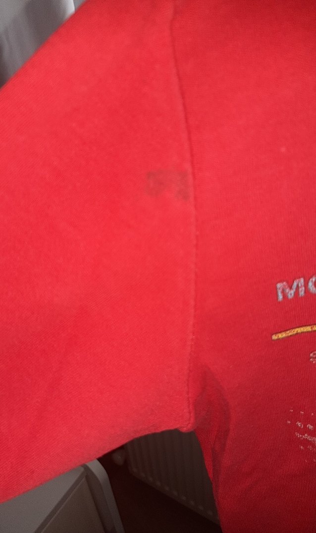 Kırmızı Erkek Çocuk Baskılı Sweatshirt - Görsel 2