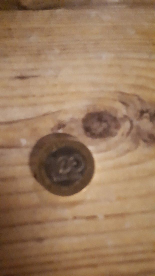 Parlak Altın Renkli Vintage Erkek Rozeti - Görsel 3