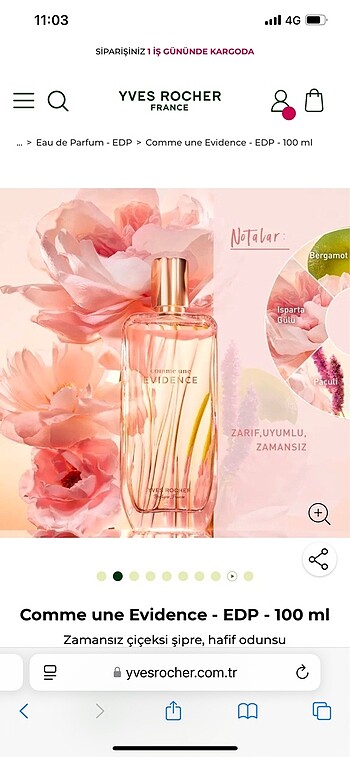 Yves Rocher Evidence 100ml parfüm