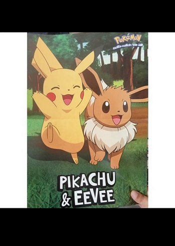 Beden POKEMON POSTER ( CHARIZARD / PIKACHU / EEVEE )