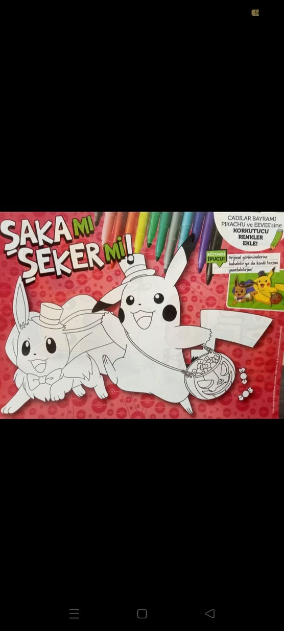 POKEMON CADILAR BAYRAMI POSTER - Görsel 3