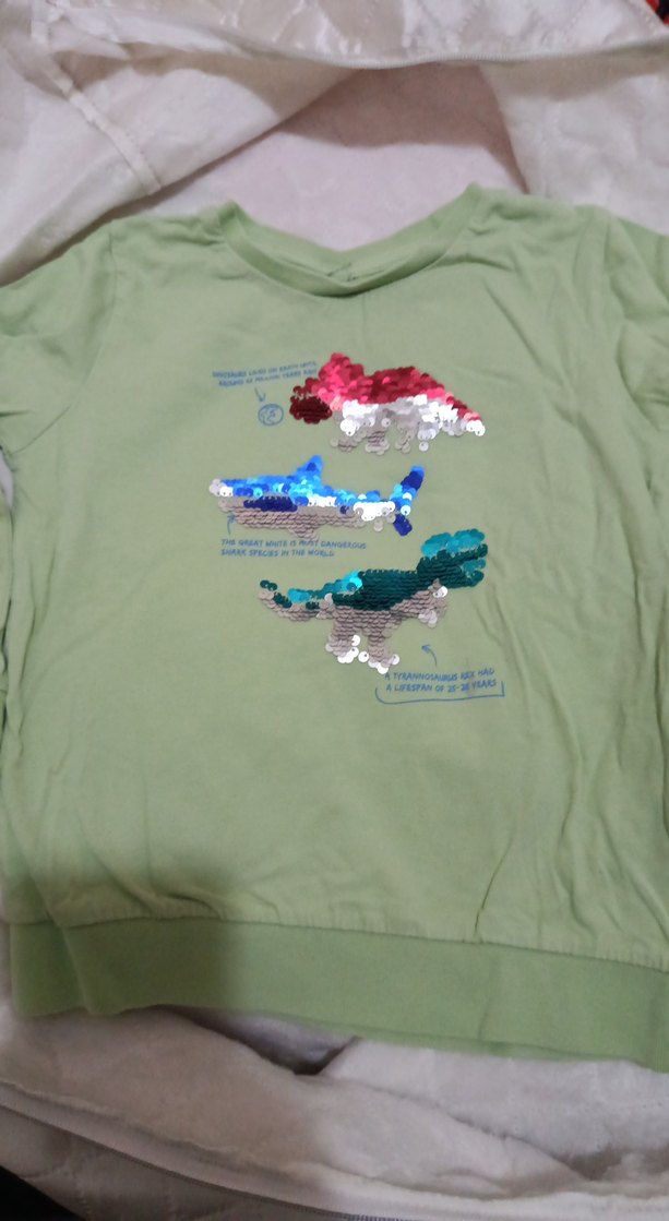 Kız Çocuk Yeşil Payetli Sweatshirt - Görsel 2