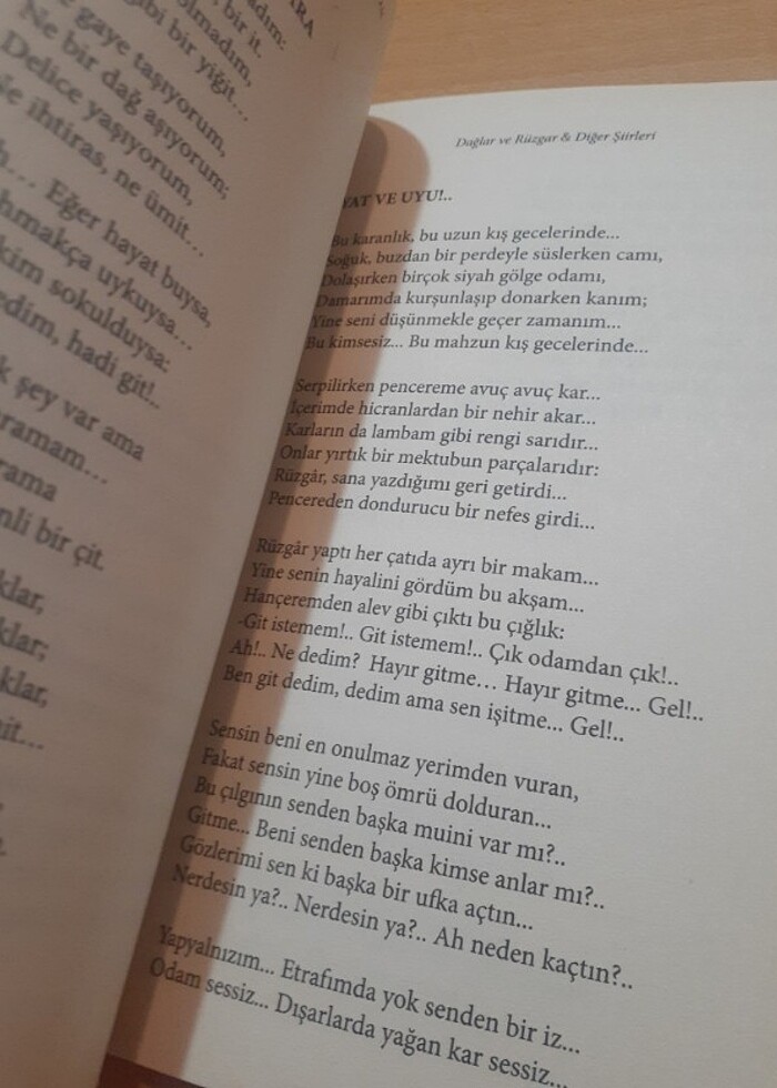 Sabahattin Ali Şiirleri - Görsel 2