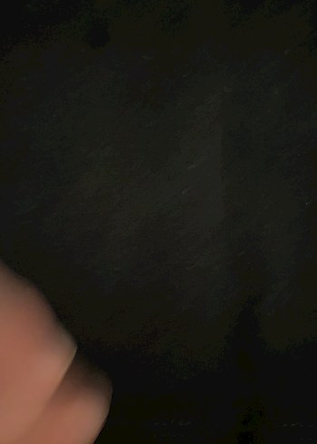 Kız Çocuk Siyah Uzun Kollu Basic Tişört - Görsel 4