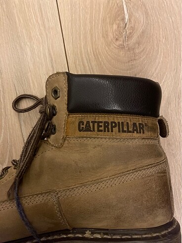 Cat Caterpıllar