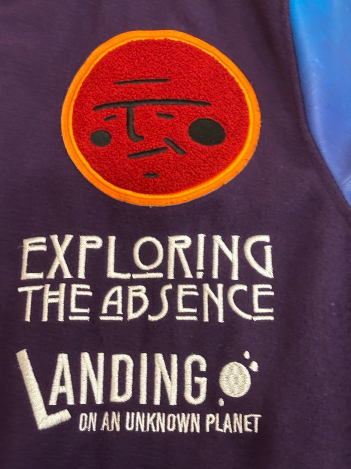 Zara Mor Baskılı Uzun Kollu kolej Ceket - Görsel 3