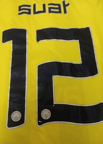 Fenerbahçe Erkek Kısa Kollu Forma - Görsel 7