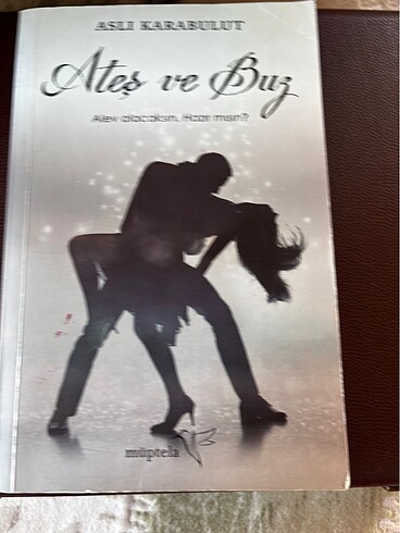 Aşk romanı