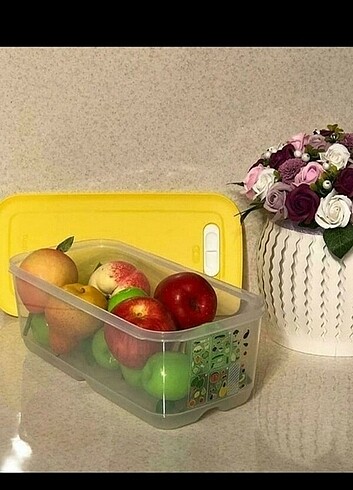 Tupperware sera 6
