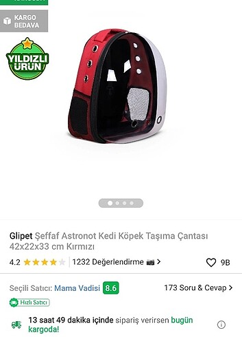 Kedi çantası