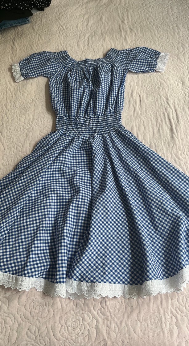 Mavi Kareli Vintage Midi Elbise - Görsel 2