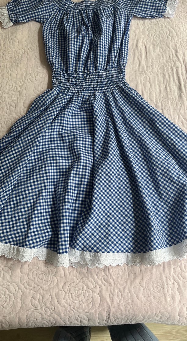 Mavi Kareli Vintage Midi Elbise - Görsel 3