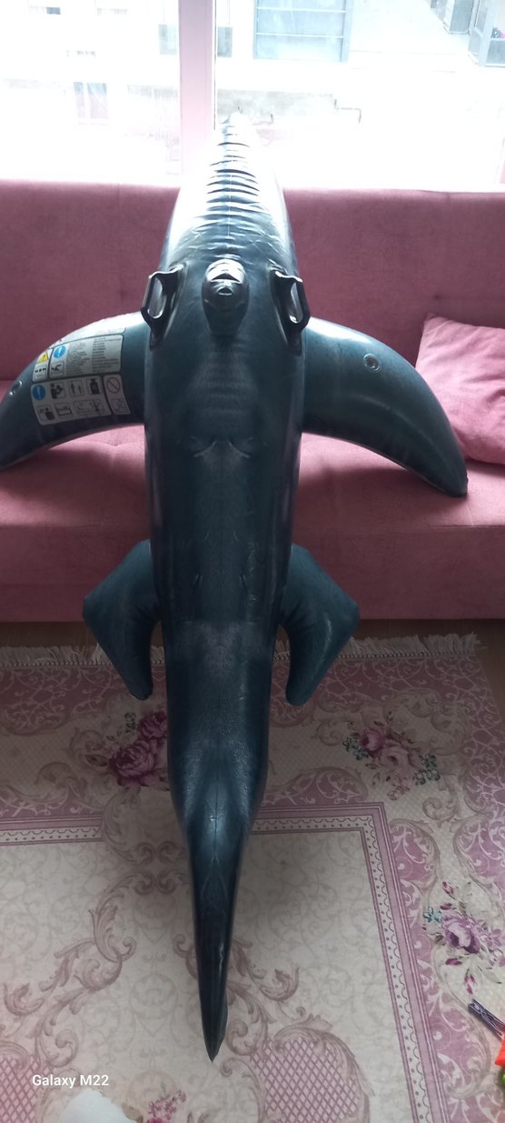 Şişme Köpekbalığı Binici - Görsel 4