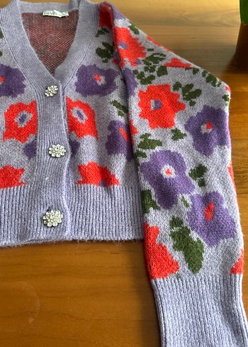 Dilvin hırka - Görsel 4