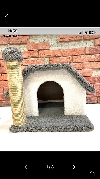 Kedi Evi