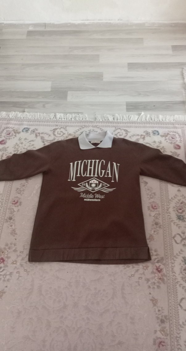 MICHIGAN Baskılı Kahverengi Kadın Sweatshirt - Görsel 5