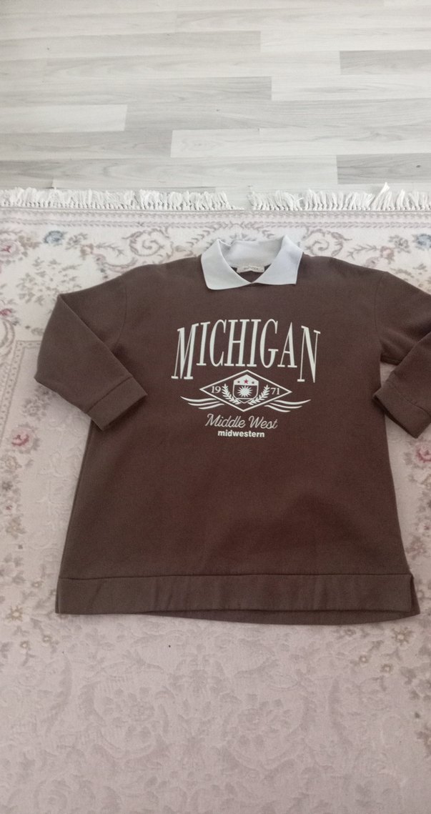 MICHIGAN Baskılı Kahverengi Kadın Sweatshirt - Görsel 4
