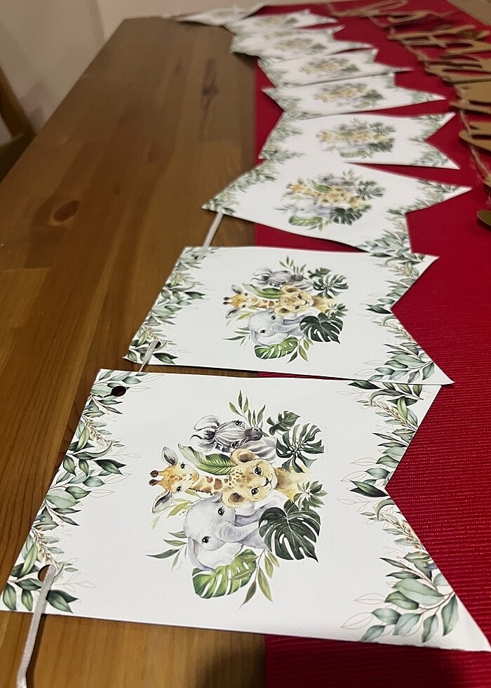 Dogum gunu parti malzemesi - Görsel 2