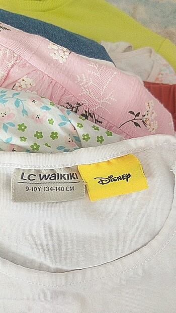 TİŞÖRT - Görsel 3