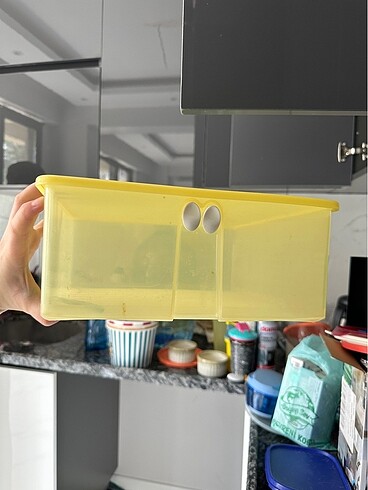 Tupperware sebzelik