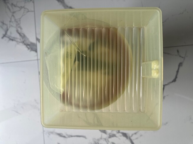Beden Tupperware sebzelik