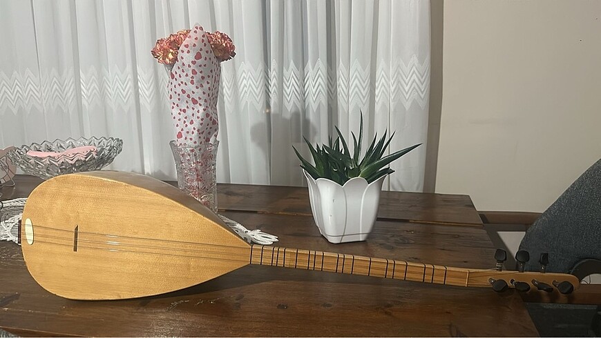 Kavak Ağacı Bağlama
