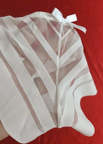 Zarif Beyaz Tül&Arkası Penye Slip Külot - Görsel 3