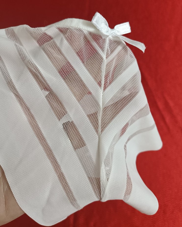 Zarif Beyaz Tül&Arkası Penye Slip Külot - Görsel 3