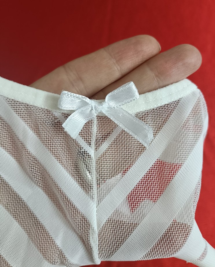 Zarif Beyaz Tül&Arkası Penye Slip Külot - Görsel 4