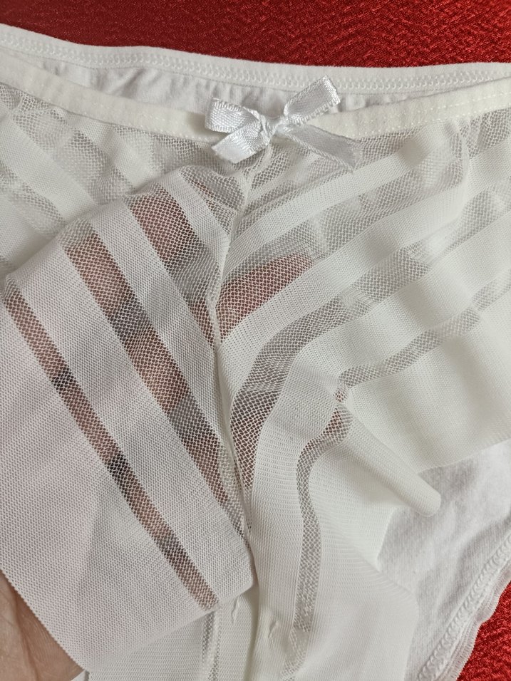 Zarif Beyaz Tül&Arkası Penye Slip Külot - Görsel 5