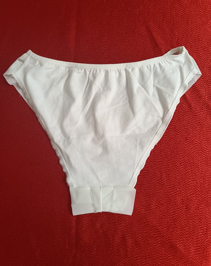 Zarif Beyaz Tül&Arkası Penye Slip Külot - Görsel 2